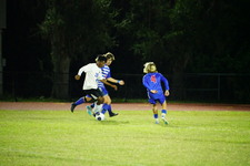 Enlarge photo 321
