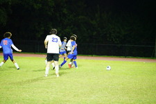 Enlarge photo 331