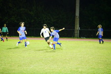 Enlarge photo 332