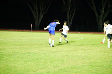 Enlarge photo 335