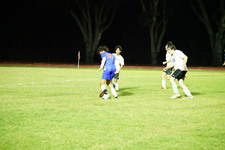 Enlarge photo 336