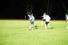 Enlarge photo 338
