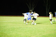Enlarge photo 341