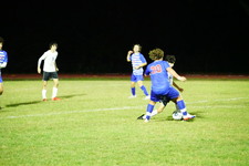 Enlarge photo 354