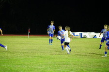 Enlarge photo 387