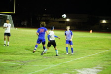 Enlarge photo 391