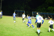 Enlarge photo 393