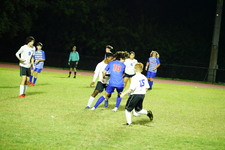 Enlarge photo 396