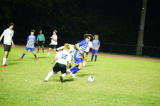 Enlarge photo 397