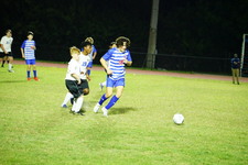 Enlarge photo 398