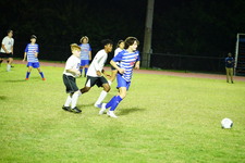 Enlarge photo 399