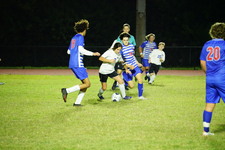 Enlarge photo 426
