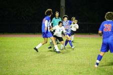 Enlarge photo 425
