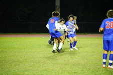 Enlarge photo 428