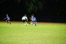 Enlarge photo 495