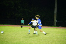 Enlarge photo 516