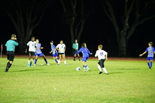 Enlarge photo 534