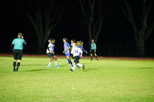 Enlarge photo 535