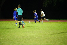 Enlarge photo 563