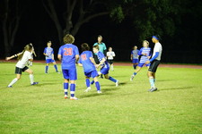 Enlarge photo 566