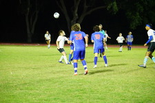 Enlarge photo 569