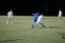 Enlarge photo 41