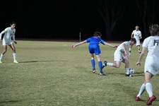 Enlarge photo 44