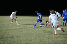 Enlarge photo 53