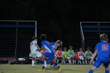 Enlarge photo 87