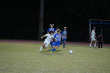 Enlarge photo 153