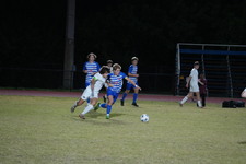 Enlarge photo 156