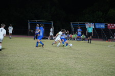 Enlarge photo 163