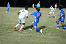 Enlarge photo 224