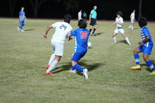 Enlarge photo 223