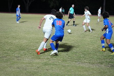 Enlarge photo 226