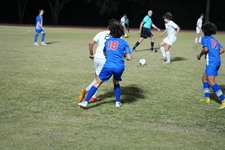 Enlarge photo 225
