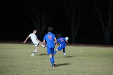 Enlarge photo 227