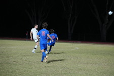 Enlarge photo 229