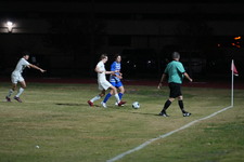 Enlarge photo 267