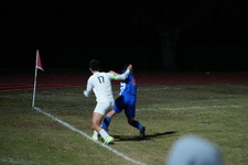 Enlarge photo 335