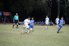 Enlarge photo 392
