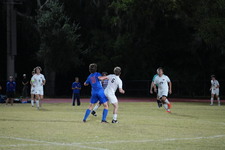 Enlarge photo 424