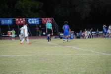 Enlarge photo 626