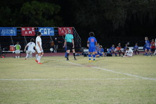 Enlarge photo 627