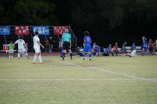 Enlarge photo 629