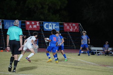 Enlarge photo 953