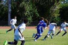 Enlarge photo 15