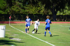 Enlarge photo 45