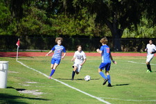 Enlarge photo 46