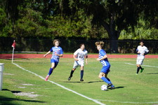 Enlarge photo 47